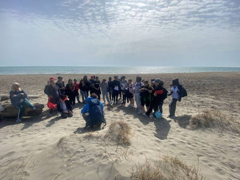 SORTIE LITTORAL CAMARGUAIS