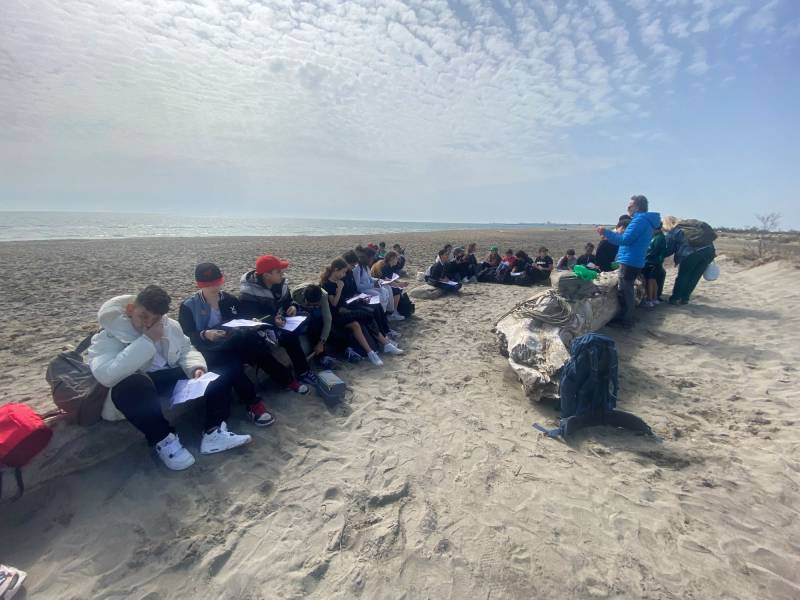 SORTIE LITTORAL CAMARGUAIS