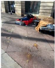 Chef d'oeuvre des terminales AGORA : En collaboration avec l'association 