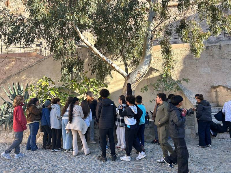 A la découverte de la faune et la flore au Fort St Nicolas de la classe de sixième du collège St Vincent de Paul Marseille