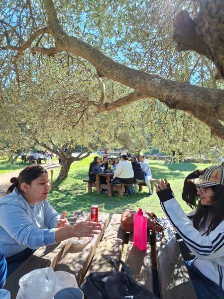 Journée d'intégration à St Rémy de Provence pour la filières ST2S du lycée St Vincent de Paul Marseille