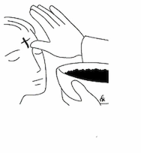 Notre zone d'activité pour ce service Établissement d'enseignement avec filière professionnelle ou filière scientifique