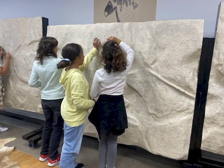 Notre zone d'activité pour ce service Établissement d'enseignement avec filière professionnelle ou filière scientifique