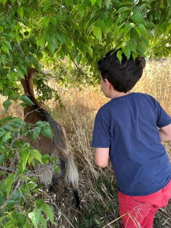 Notre zone d'activité pour ce service Collège privé enseignement catholique