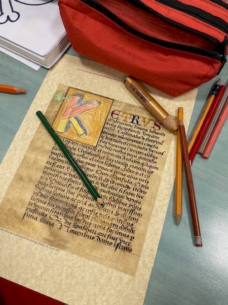 Nos prestations sur le secteur de Marseille 13005 Le Camas