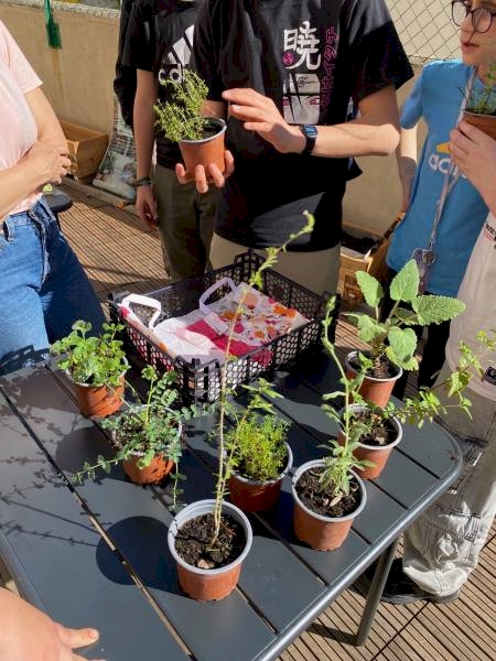 Nos prestations sur le secteur de Marseille 13006 Castellane