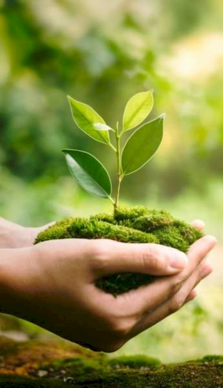 Notre zone d'activité pour ce service Établissement d'enseignement avec filière professionnelle ou filière scientifique